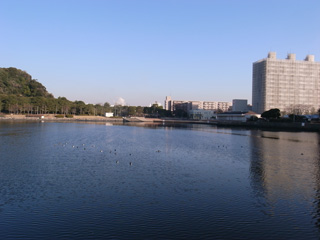 【横浜金沢アトリエ近くで-1】