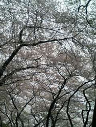070406