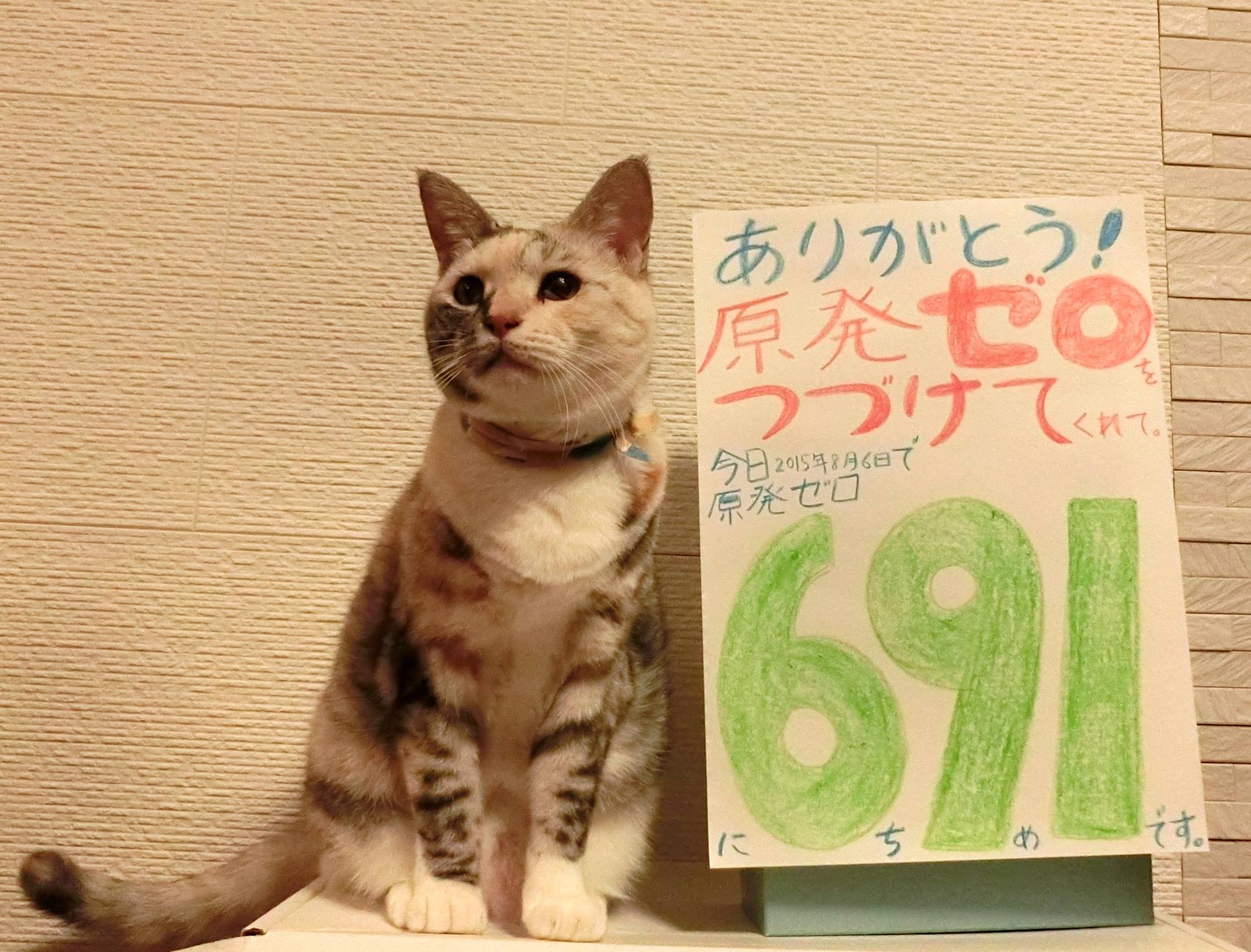 もうひと頑張りすれば、きっと、悪いものを追い払えると思います。 吉田なな(ネコ・8歳、人間の歳にすると約50歳) このようなコメントが毎日付けられている。