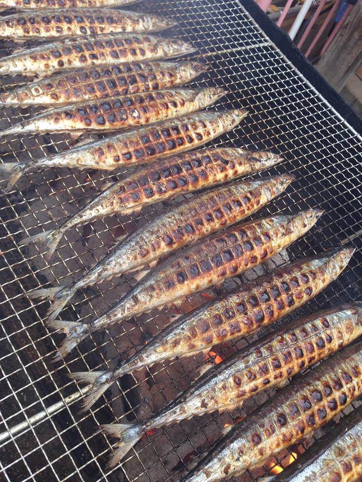 焼きサンマ無料配布!!