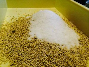 福井の麹にモンゴルの塩。すごくいい香り。