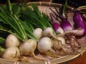 在来、固定種、おだやかファームの野菜たち。見るだけでいのちの輝きを感じます。